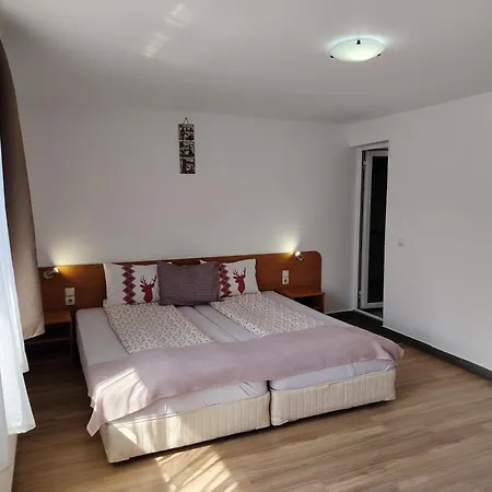 Lila Pensiune 3*