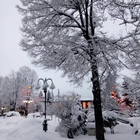 Lila Bansko